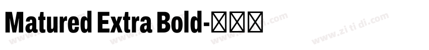 Matured Extra Bold字体转换